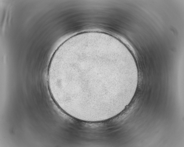 X0000111250951200908131204