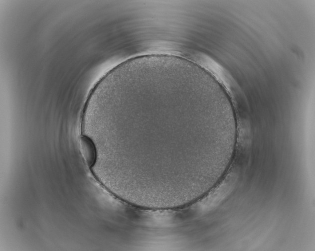 X0000111250952200908131204