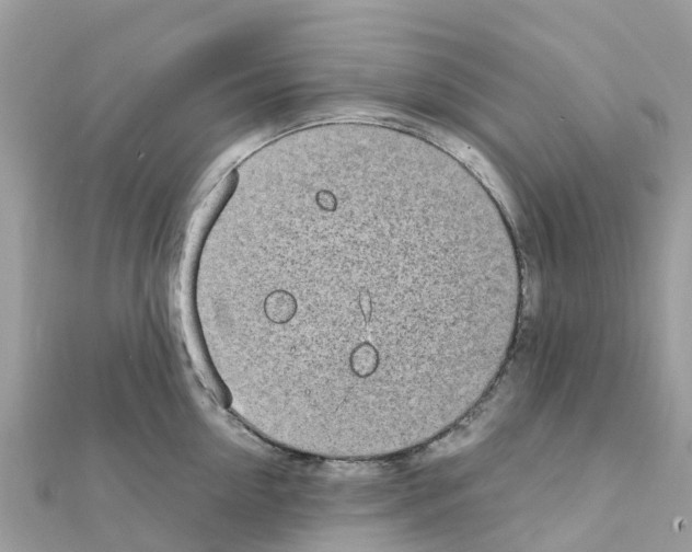 X0000111250954200908131204