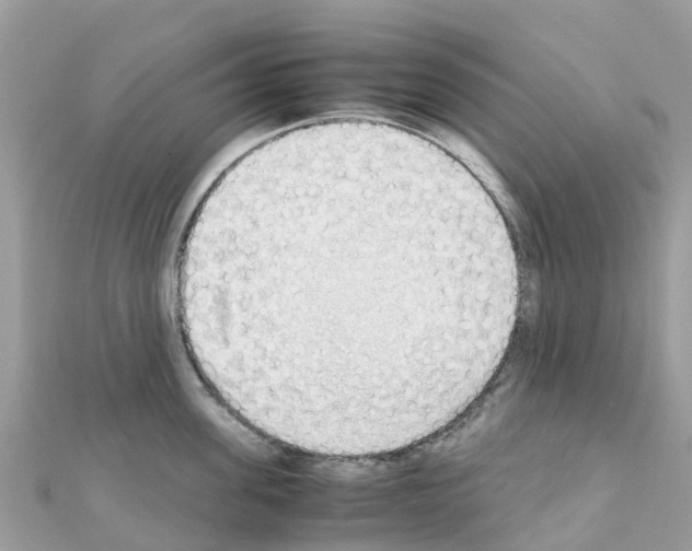 X0000111250955200908131204