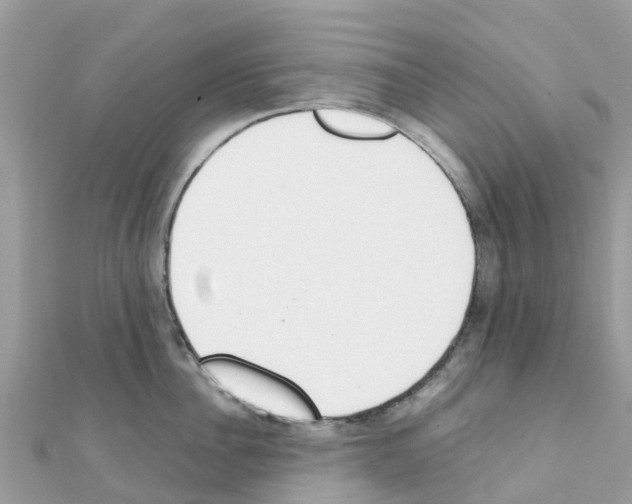 X0000111250956200908131204