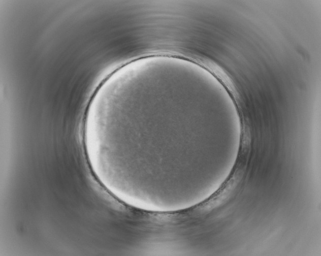 X0000111250958200908131205