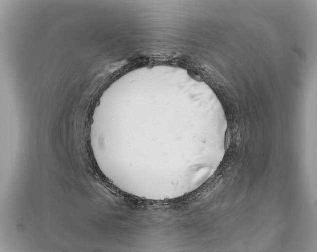 X0000111250961200908131204