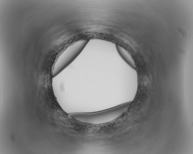 X0000111250965200908131204