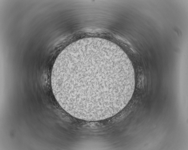 X0000111250966200908131204