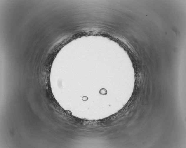 X0000111250967200908131204