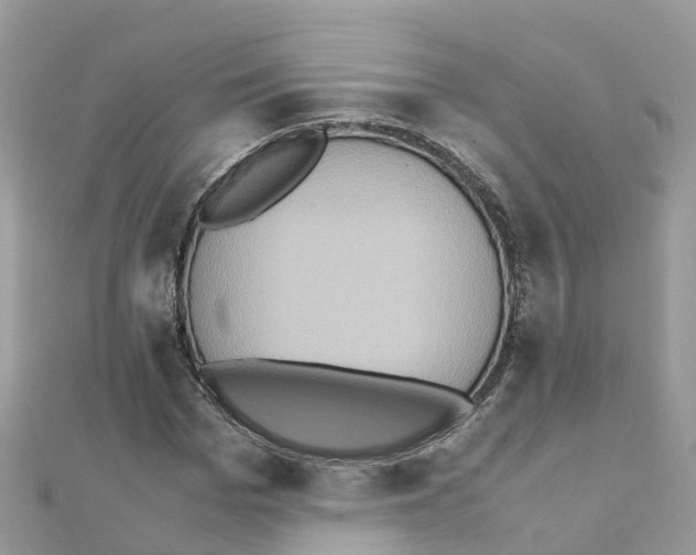 X0000111250969200908131204