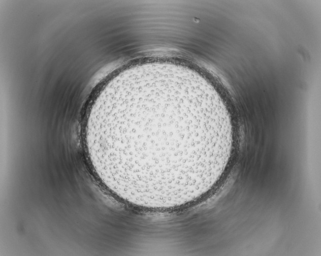 X0000111250970200908131204