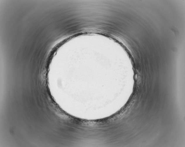 X0000111250971200908131204