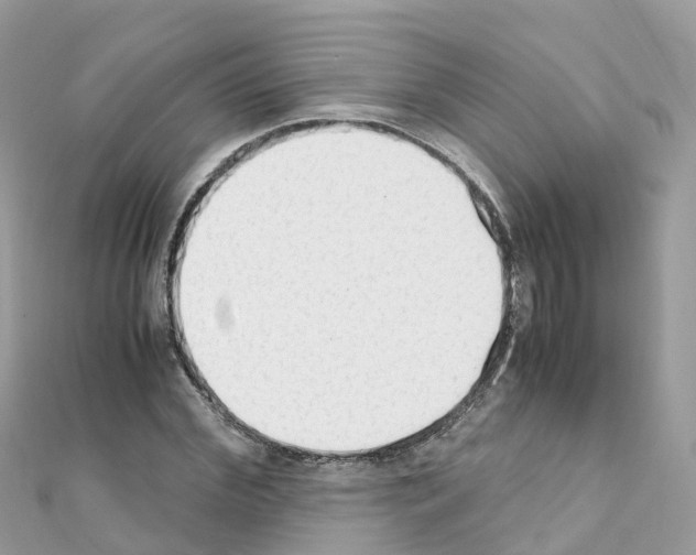 X0000111250972200908131204