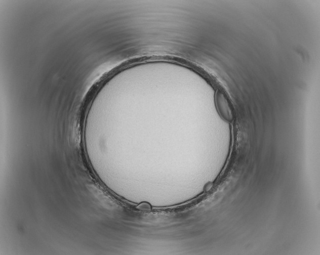 X0000111250973200908131204