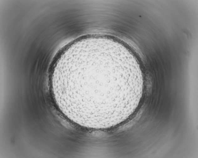 X0000111250974200908131204