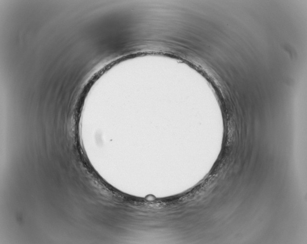 X0000111250975200908131204