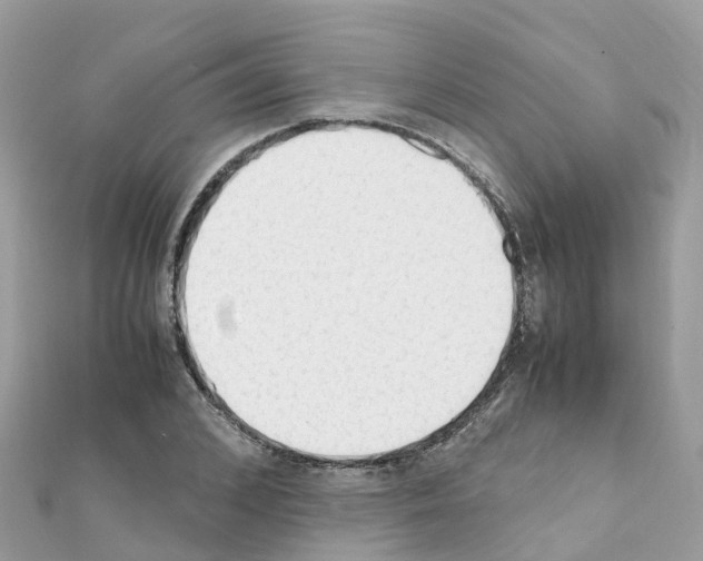 X0000111250976200908131204