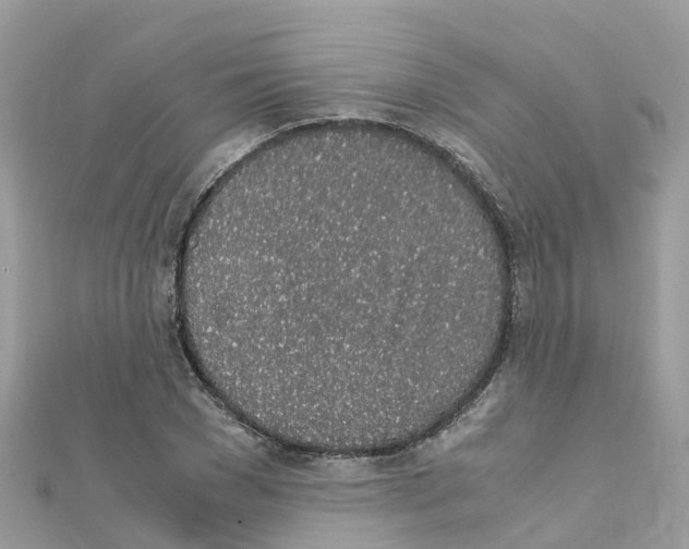 X0000111250977200908131204