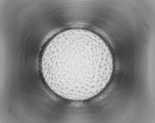 X0000111250978200908131204