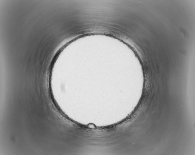 X0000111250983200908131204