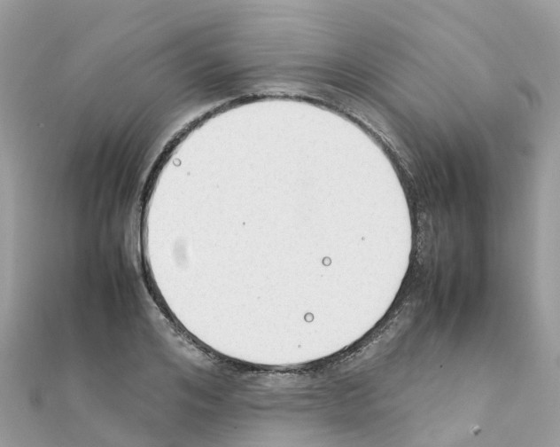 X0000111250984200908131204