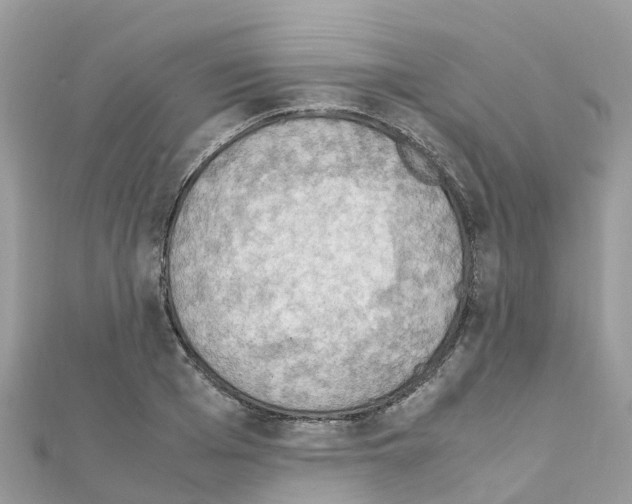 X0000111250985200908131204