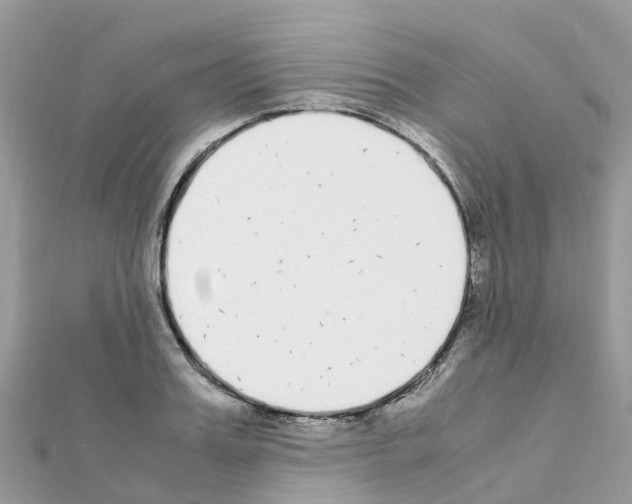 X0000111250987200908131204