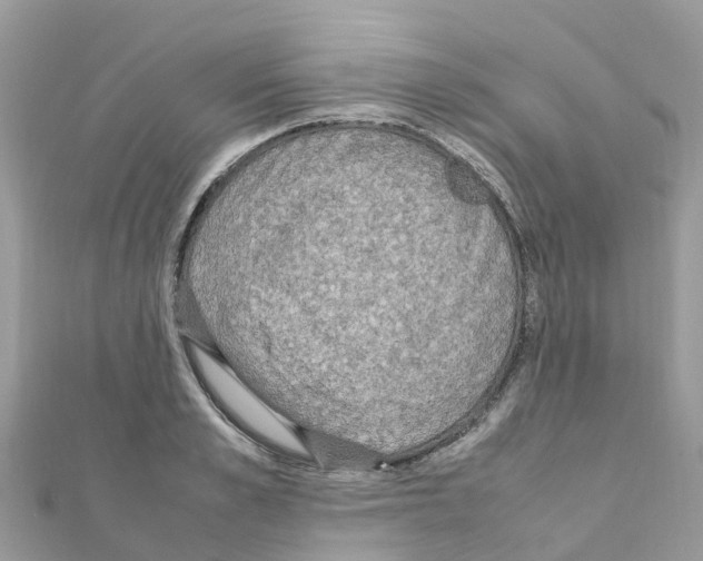 X0000111250989200908131204