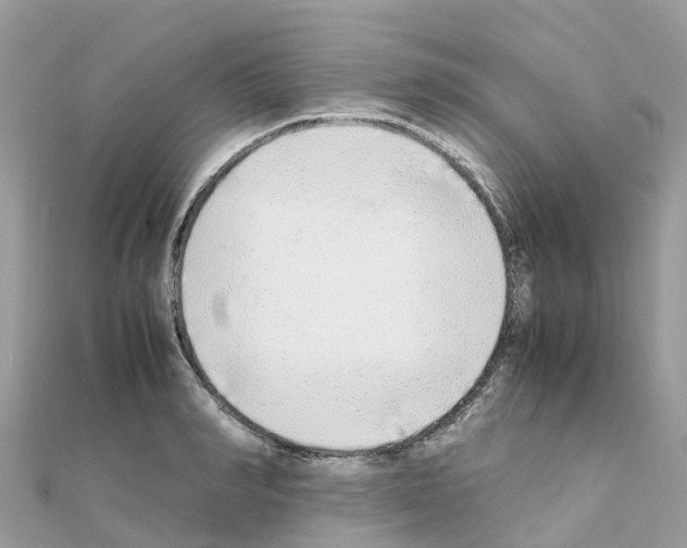 X0000111250990200908131204