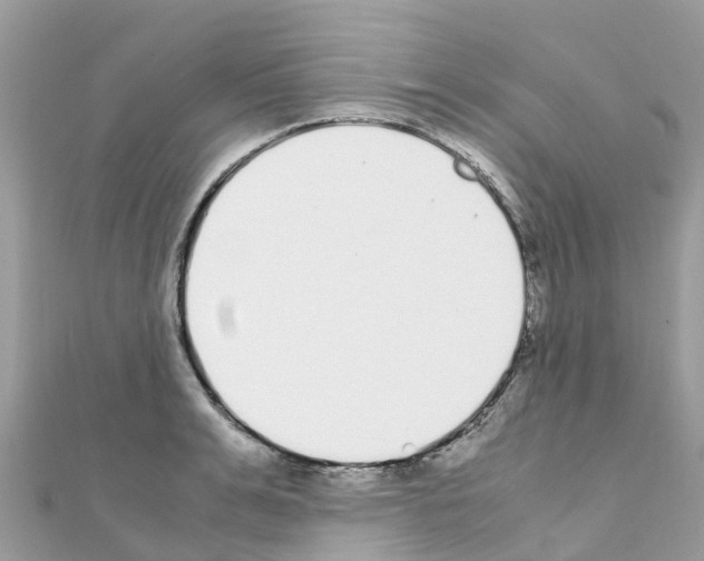 X0000111250991200908131204