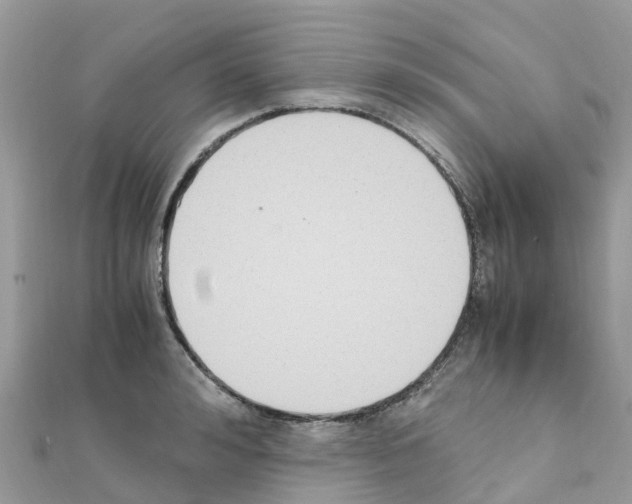 X0000111250992200908131204