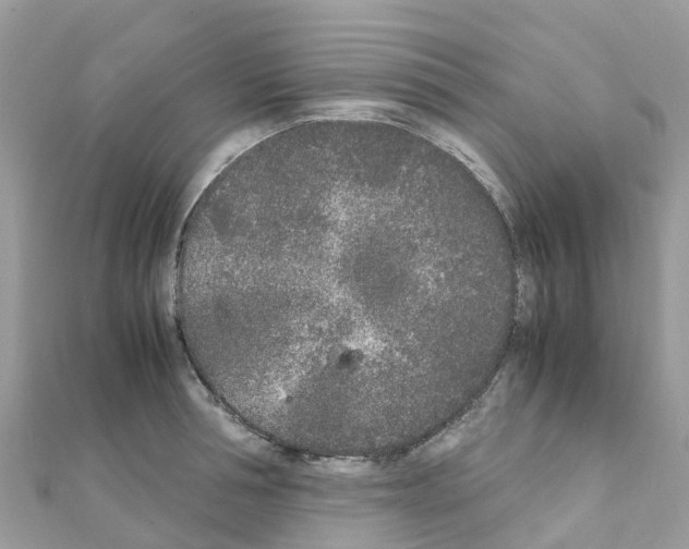 X0000111250994200908131204