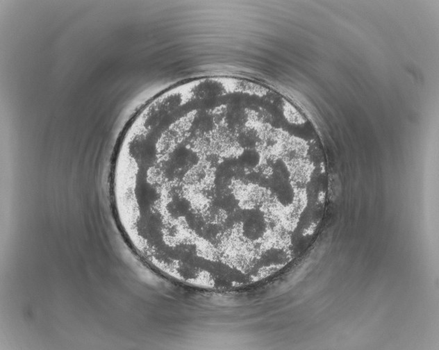 X0000111250995200908131203