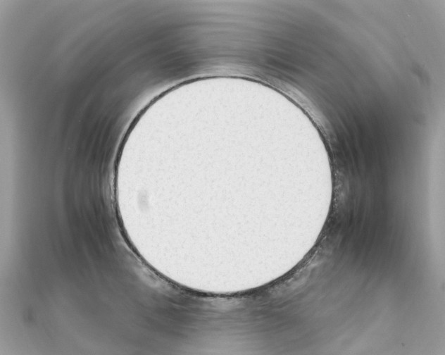 X0000111250996200908131203