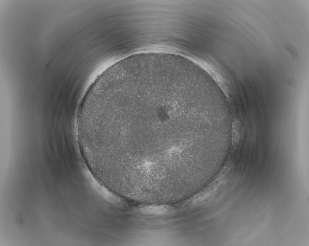 X0000111250998200908131203