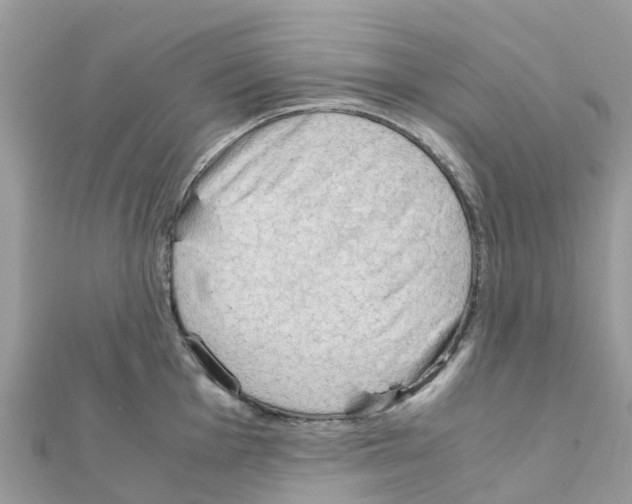 X0000111251001200908131203