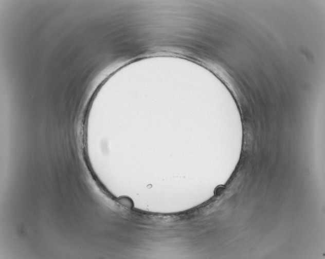 X0000111251003200908131203