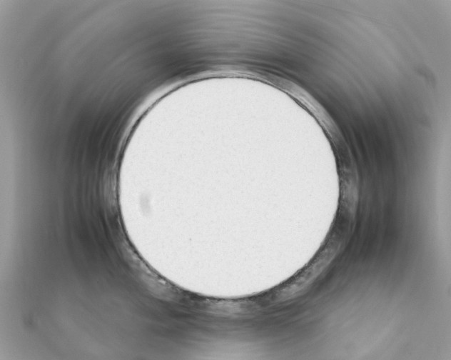 X0000111251004200908131203