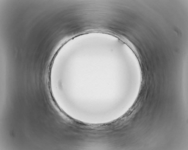 X0000111251005200908131203