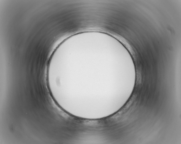 X0000111251006200908131203