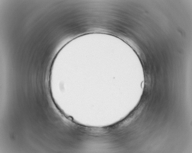 X0000111251007200908131203