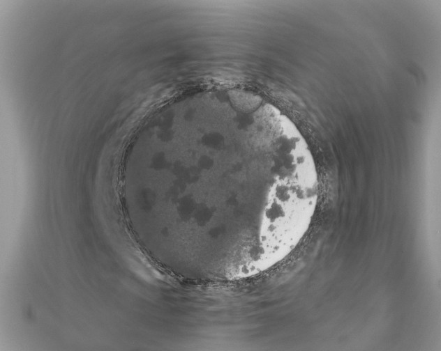 X0000111251009200908131203