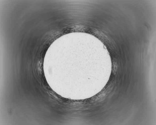 X0000111251010200908131203