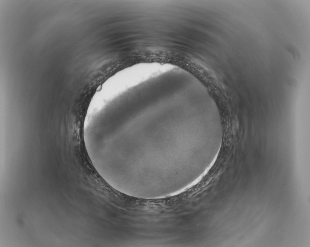 X0000111251013200908131203