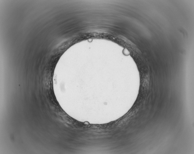 X0000111251014200908131203