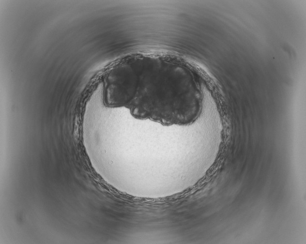 X0000111251016200908131203