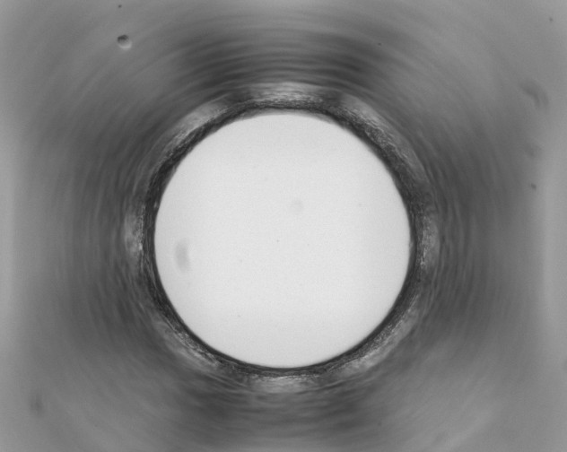 X0000111251017200908131203