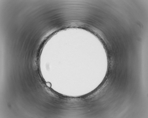 X0000111251018200908131203