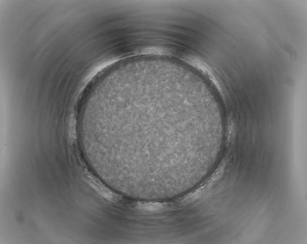 X0000111251019200908131203