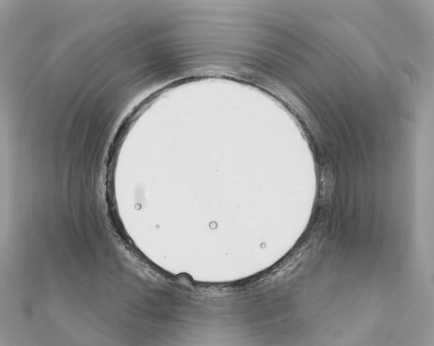 X0000111251020200908131203