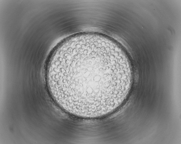 X0000111251022200908131203