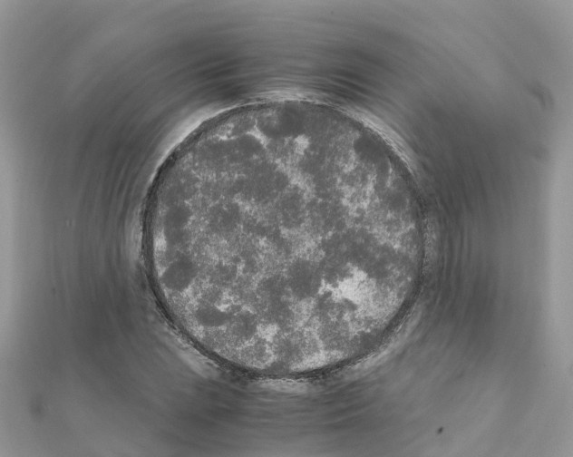 X0000111251023200908131203