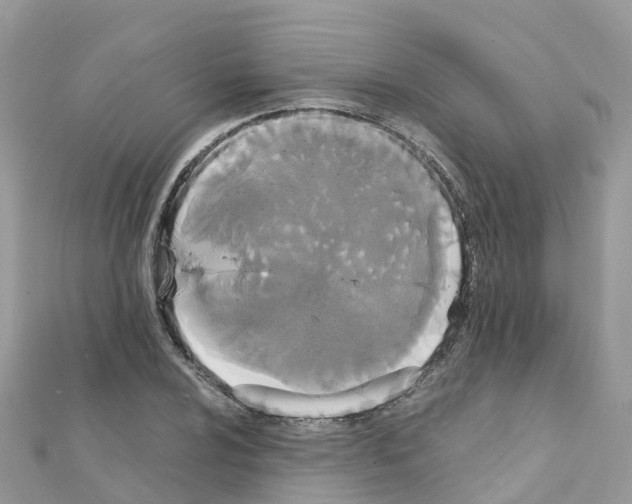 X0000111251024200908131203